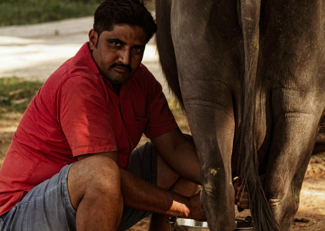 Exploring Anatomy & Physiology in the Laboratory