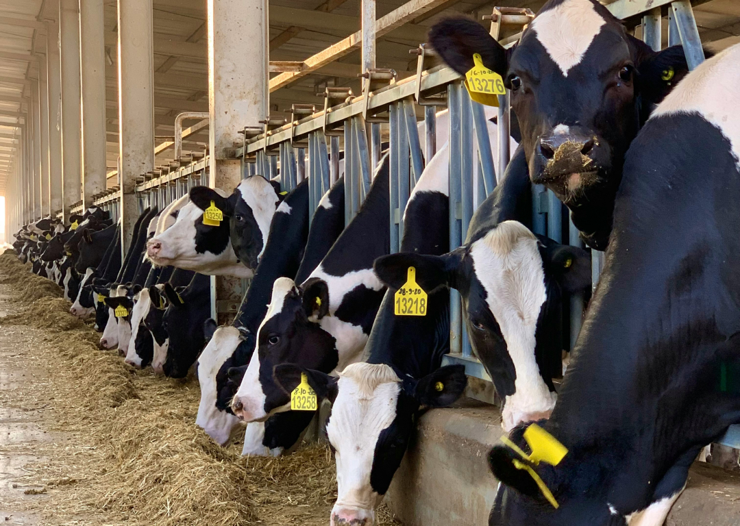 Exploring Anatomy & Physiology in the Laboratory