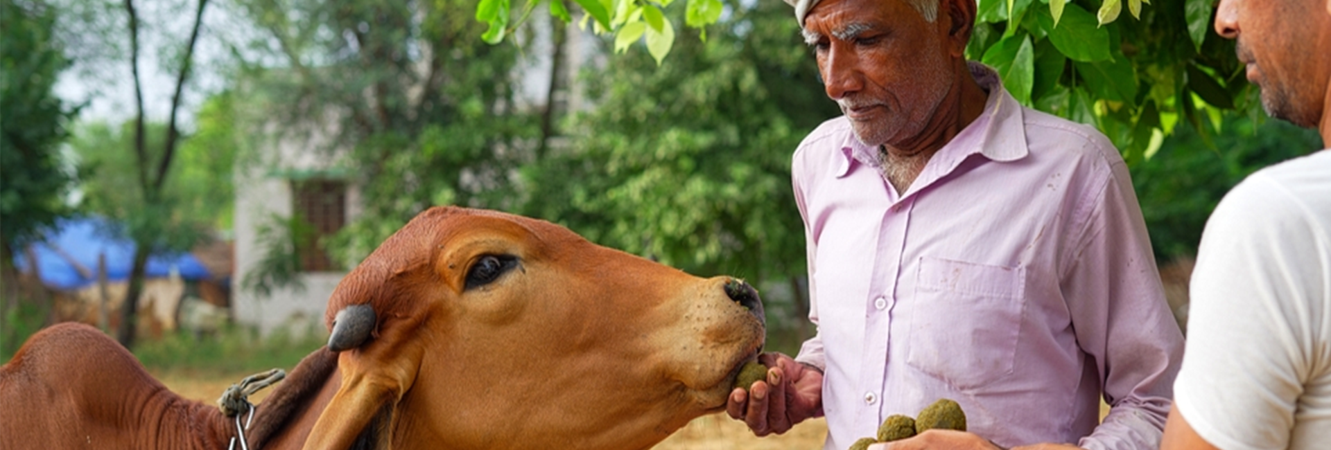 Laboratory Priority Services Delivered